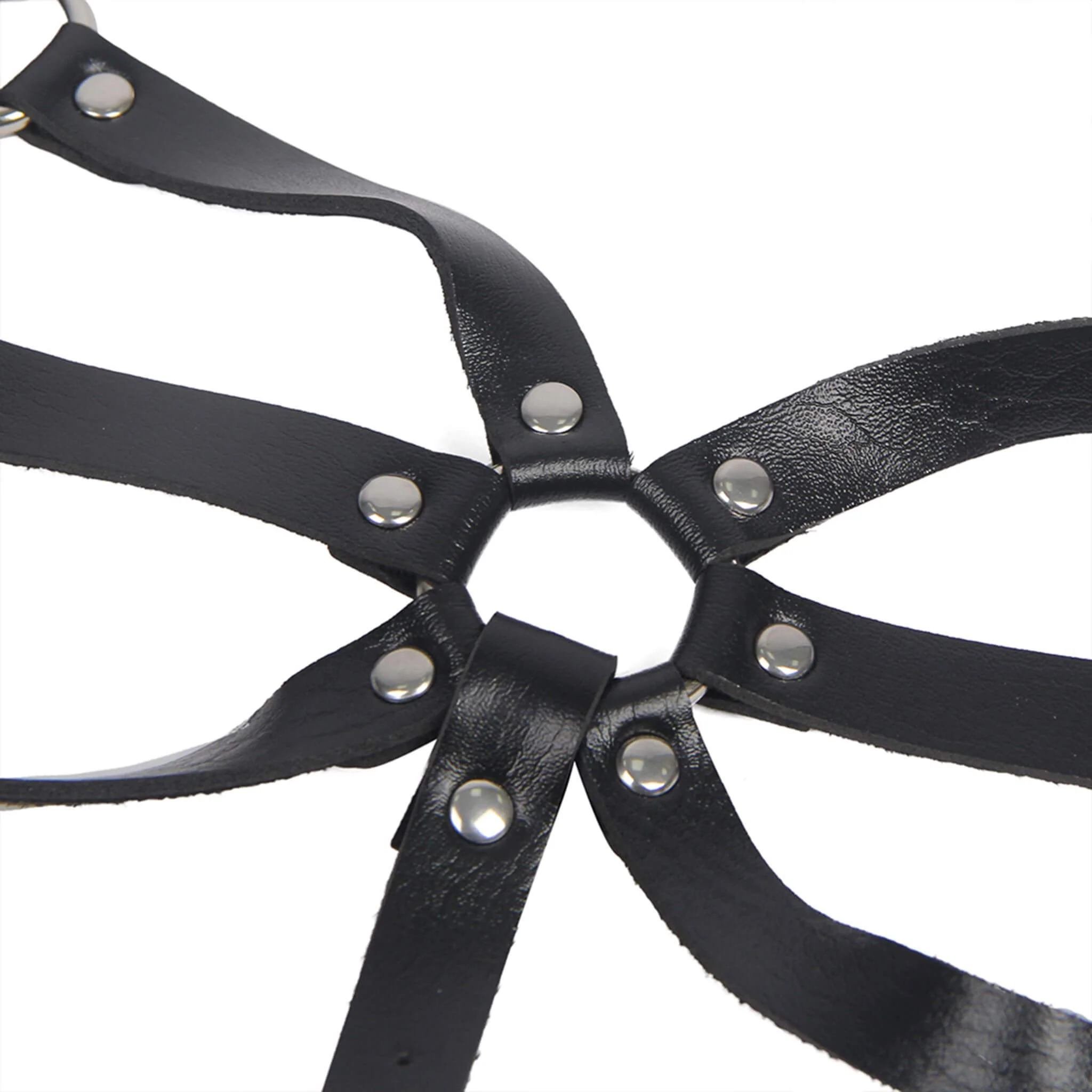 Harness-valjaat - Image 8