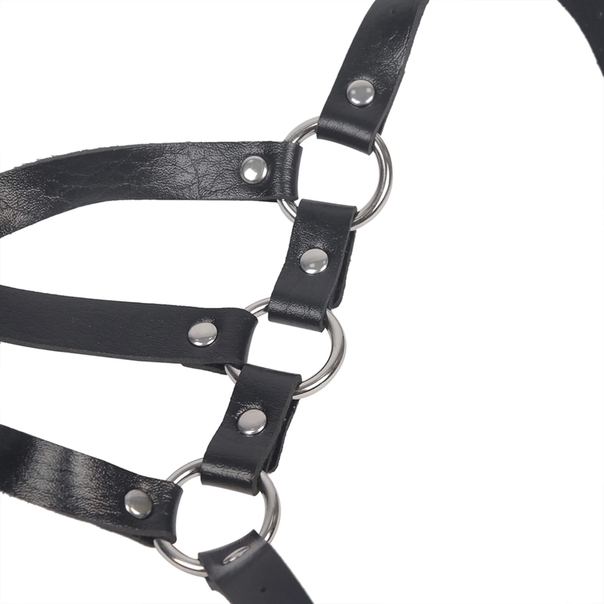 Harness-valjaat - Image 9